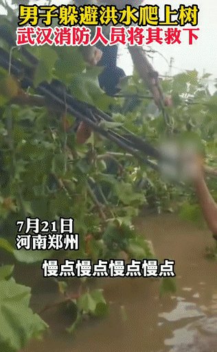 河南|千钧一发！河南两小伙大水里游了6个小时，武汉消防反应太快了……