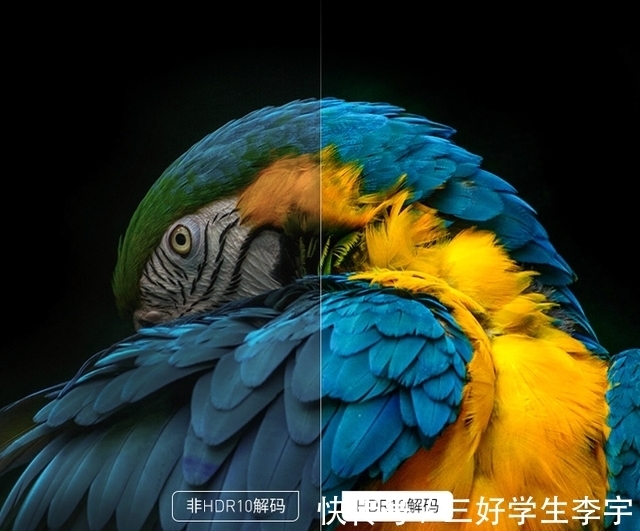 iphone|iPhone13值得买吗?iPhone13有什么颜色?亮点在哪儿?