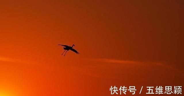 苏轼|苏轼惨遭贬谪,写下落寞之词,末句成就了一首知名爱情歌曲