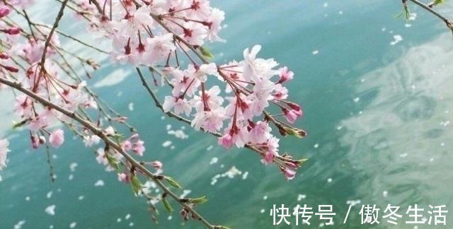 锦瑟@赏八首美到令人窒息的经典古诗词,感受最真挚的情感