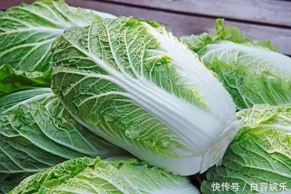 白菜总是长虫只要用家里的两种调料,就可以消灭掉虫子!