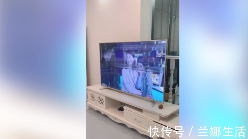 电视|爸妈看到这幕,只能在心里默念,亲生的不能打也不能气