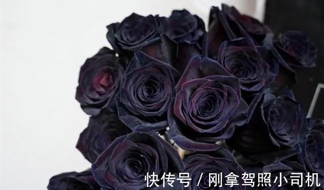 比较受欢迎的10款进口玫瑰花,一直都供不应求,你粉了吗