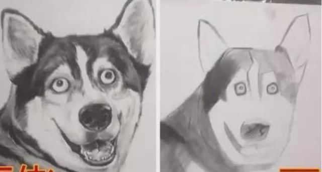 学霸&当学渣美术生画到一半不想画了,画风逐渐跑偏,看完让人笑出眼泪