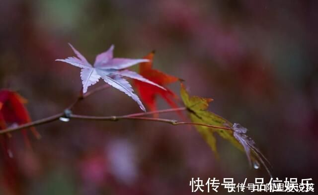 苏辙$半夜被雨惊醒，苏轼给胞弟苏辙写首词，开篇7字就是千古名句