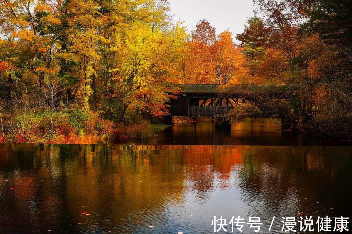 昼夜温差|寒露不养生,秋冬找医生?寒露一到,这份养生保健指南请收好!