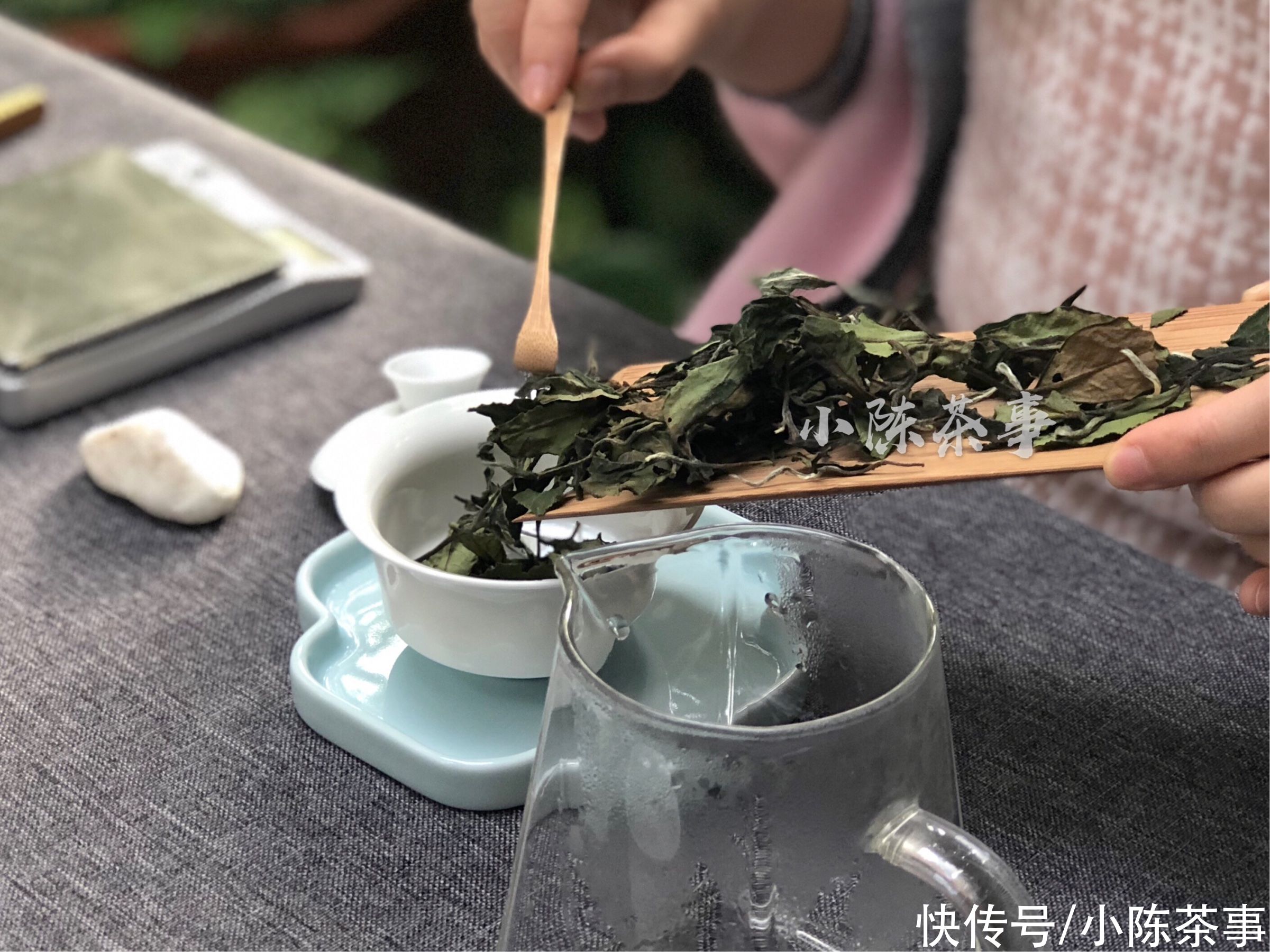 茶饼|从撬白茶饼到冲泡，村姑陈手把手教学示范，收藏了