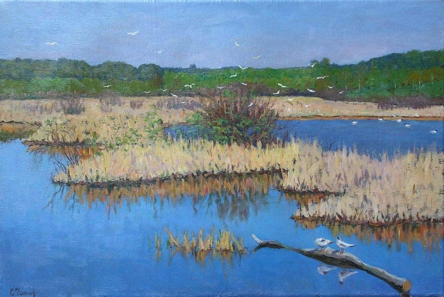 美术学院&俄罗斯艺术家谢尔盖恰布里金风景油画作品