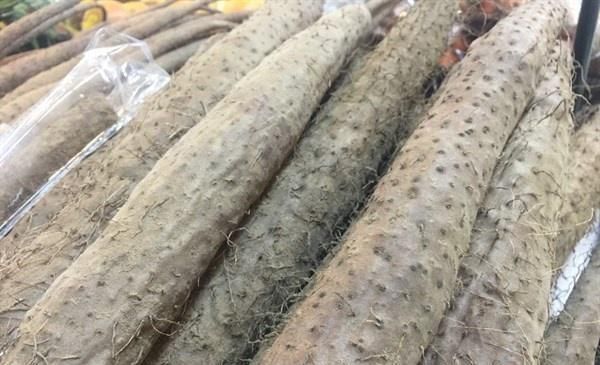 人到中年想长寿,三种蔬菜要多吃,延缓衰老,缓解疲劳,早吃早好