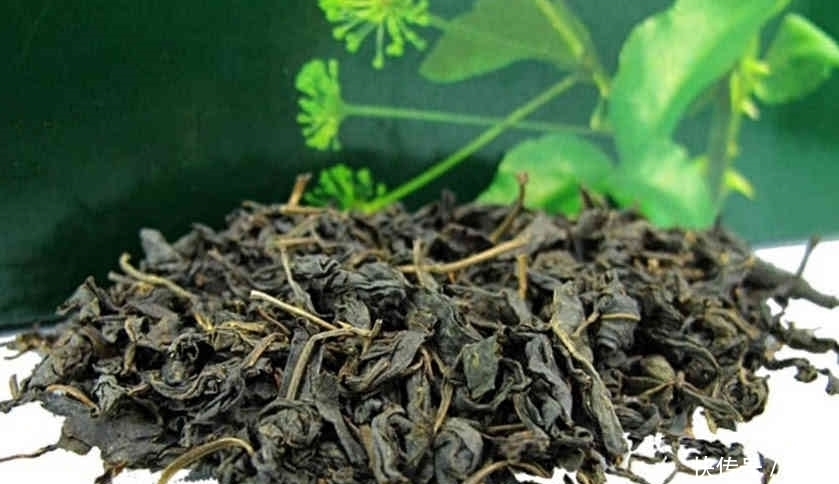 解百毒|大山里特有的野菜，不僅好吃，還有“解百毒”之稱，很多人沒見過