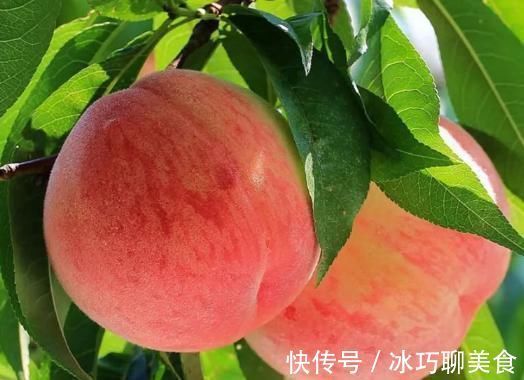 桃子|女性再节俭,也要多吃4种“土燕窝”,活血美容,60不显老