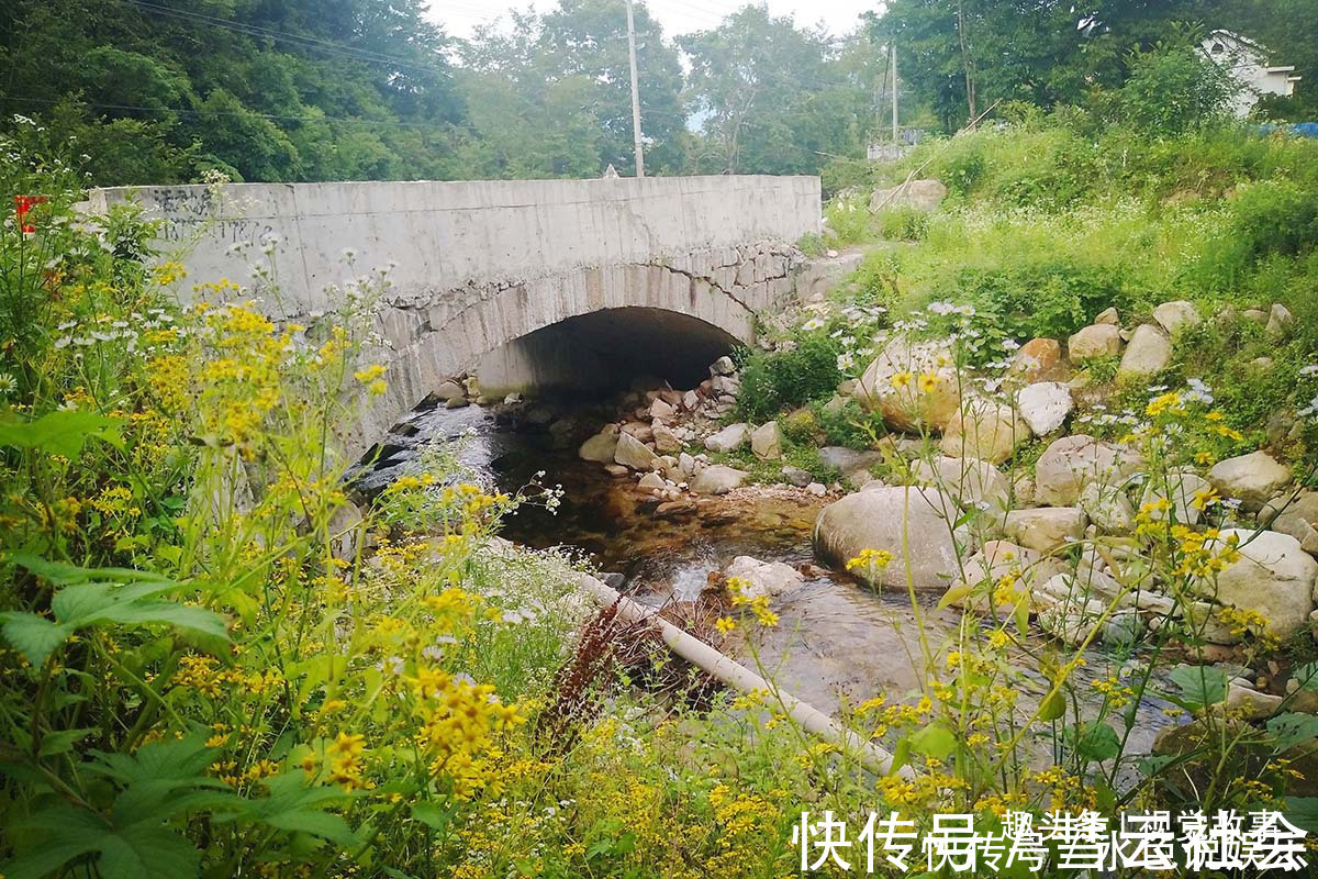 回家|山村楼房装修豪华,门前堆满柴火,2个儿子3年没回家