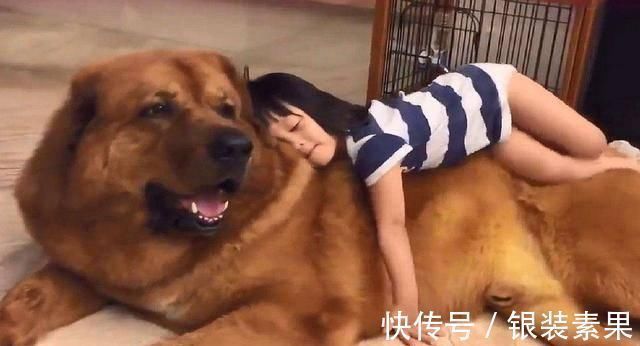 亲爱的|孩子的起床时间,若早于这个点,身高可能要被同龄人超10厘米