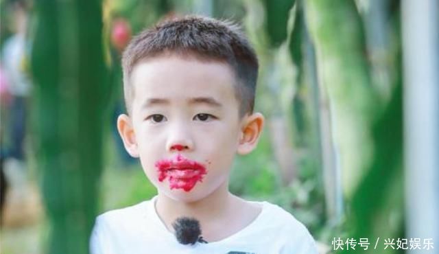 火龙果|2岁宝宝突然“尿血”,妈妈哭着去医院,医生:这东西别给孩子吃