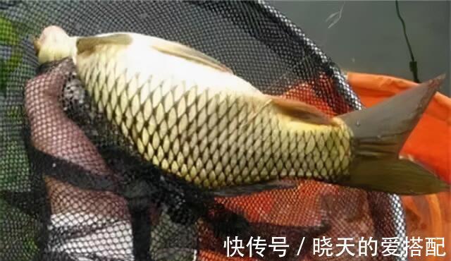 水温|为何入秋之后，水库守钓始终没鱼口，不是没鱼，而是几个因素