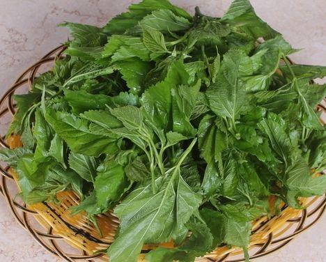 止咳药|天然“止咳药”，每天泡水喝，止咳效果好，女人常喝皮肤细腻光滑