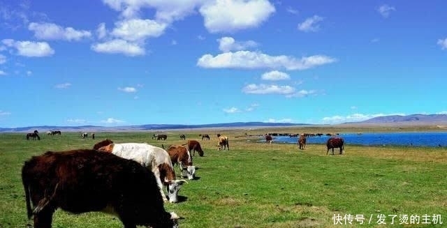长辫|外蒙"大清洗"下幸存的汉人:穿大清服、留长辫,不知清朝已灭亡