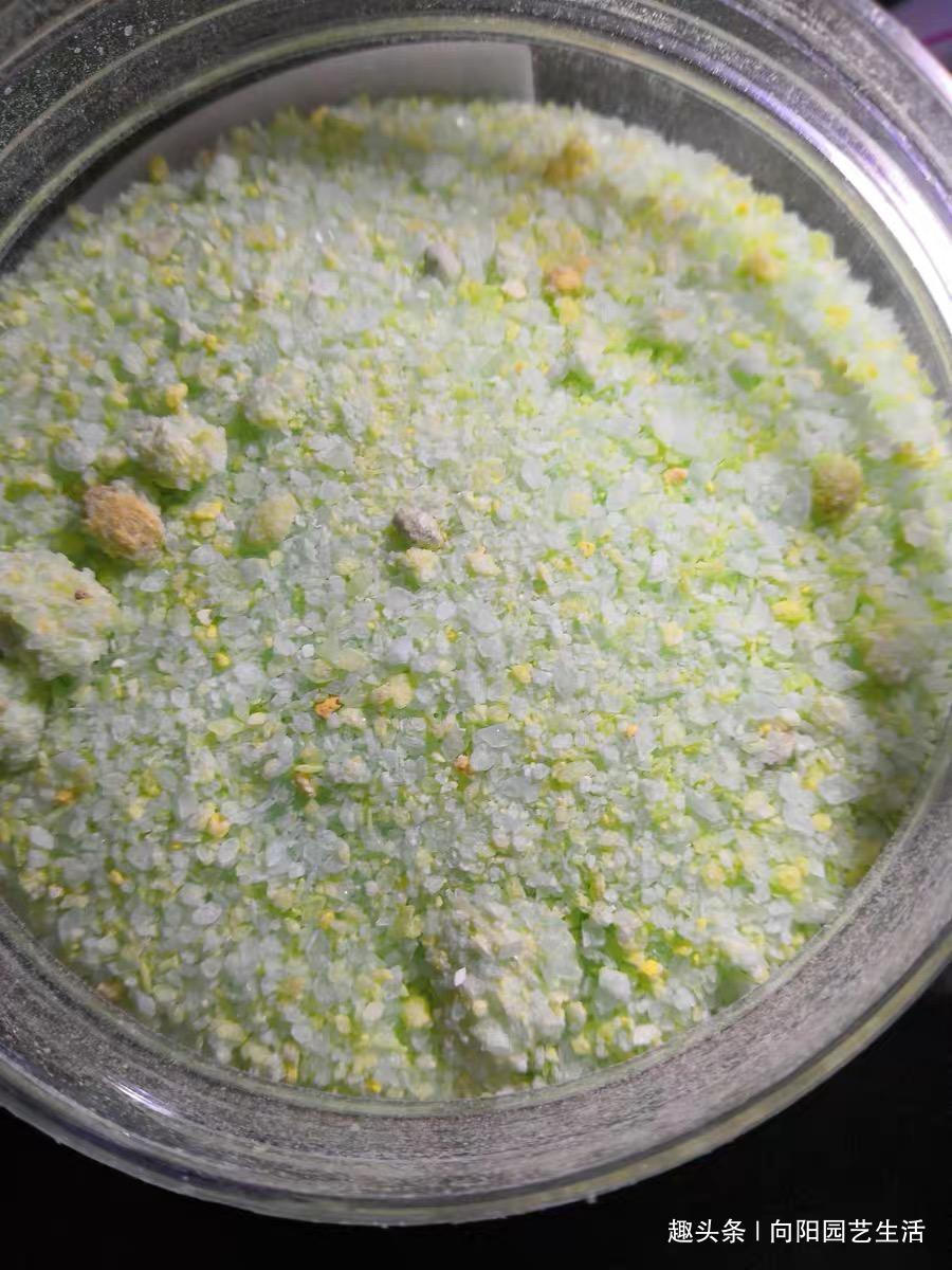 春天养花,准备“3种”肥料,开花不用犯愁,爆花效果非常好