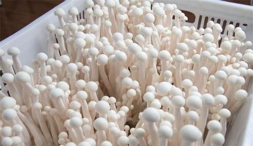 超市很常见的几种食物，减压减脂，保护视力，早吃早健康！