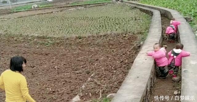危险物品|最勤劳奶奶走红,独自带四胞胎还干农活,网友:这才叫“圈养”