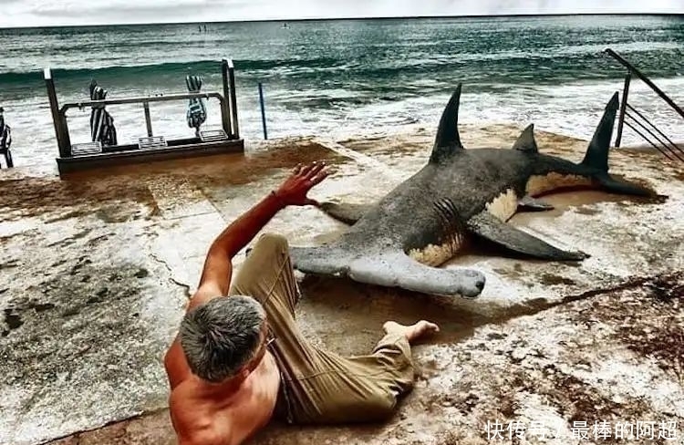 他创作出超写实的沙雕动物,一头用沙子堆成的公牛,引起轰动