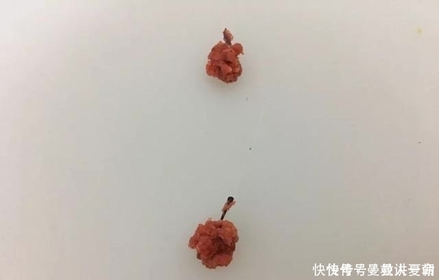 饵料里面加把米，诱鱼留鱼两不误，这一招在野钓百试不爽