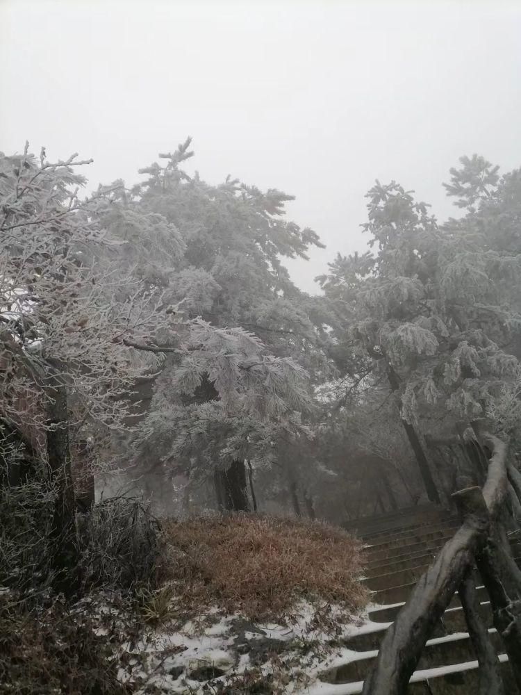 雪景|丽水这些地方下雪了，美炸了~最新雪景美图，请签收