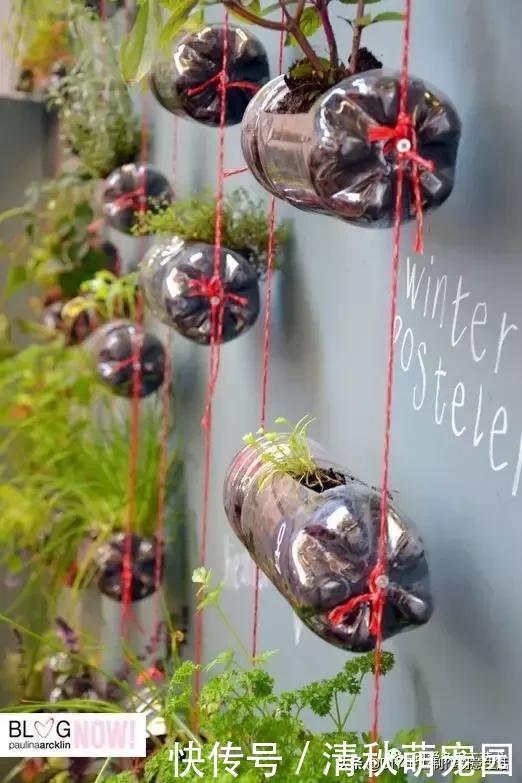 下次再有饮料瓶千万不要丢,看完这个你就明白了,附教程