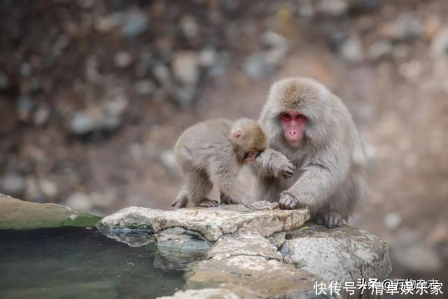 糖和盐混在一起了要怎么分开?| 趣问万物