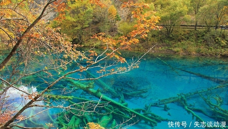 水洛城|韩琦论筑水洛城利害