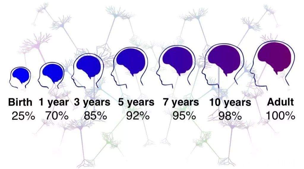 补充|DHA补到几岁停？快看你家孩子补够没