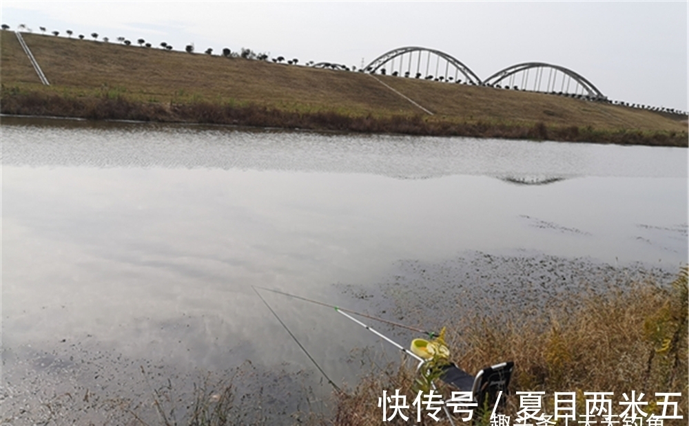 深水|冬季钓鱼,技巧上有5大“争议”,爆护还是空军,原因都在这里!