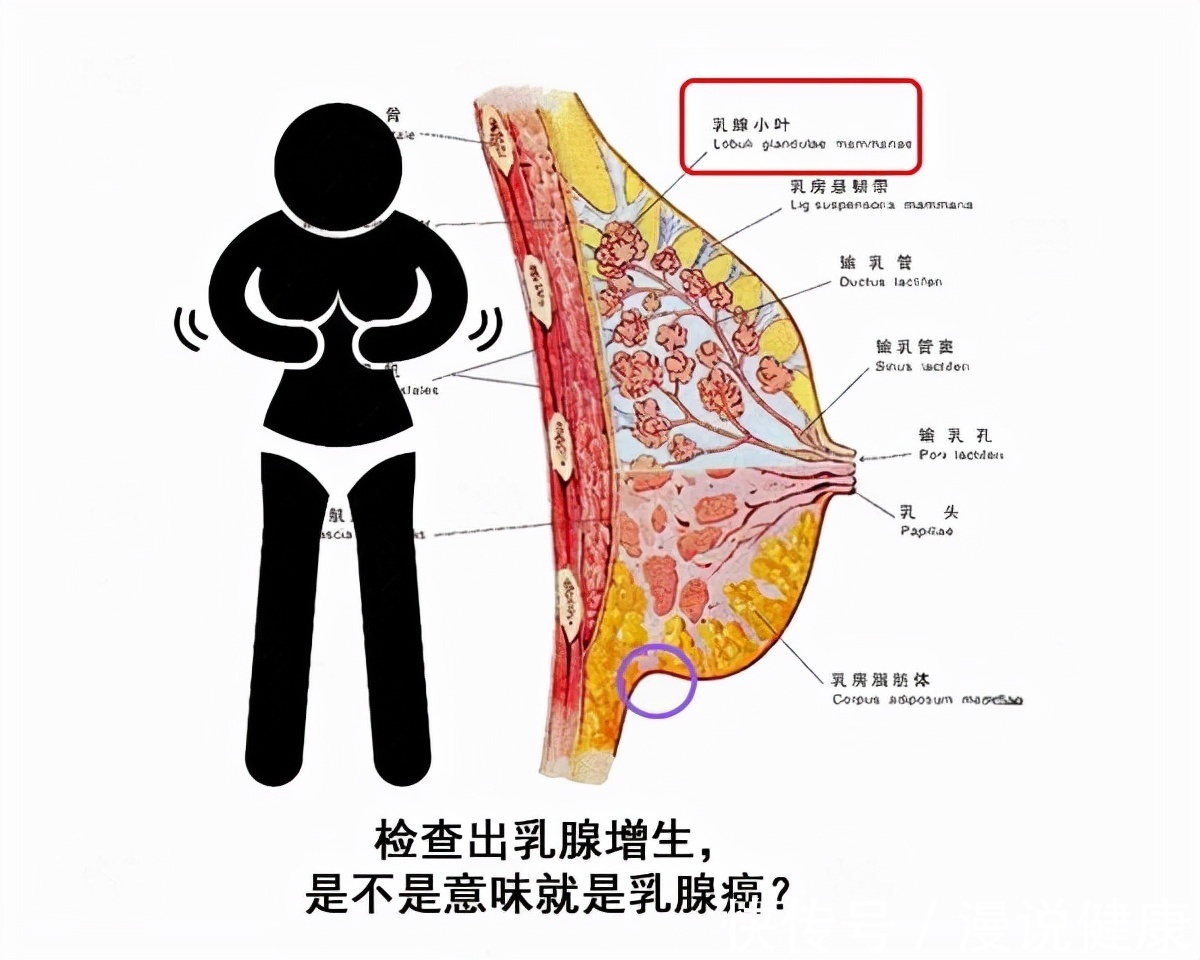 江湖骗子|别被那些江湖骗子给忽悠！体检查出这9种病，根本无需过度治疗！