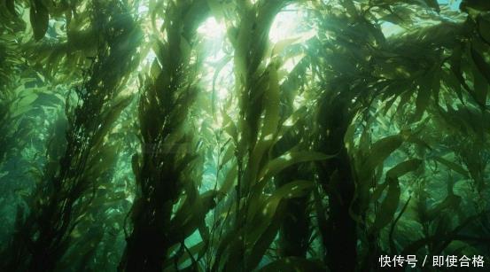 好消息 南海再传好消息!海牛2号成功潜入海底,创造纪录引国际轰动