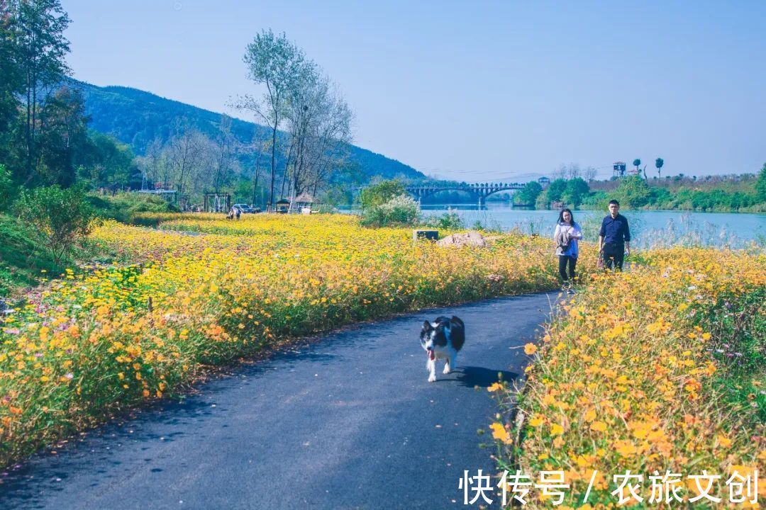 阳台上|双节来袭，爱在金秋，更有夜场门票免费送，赶快约