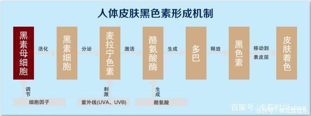 蜂蜜能淡化色斑吗效果怎么样