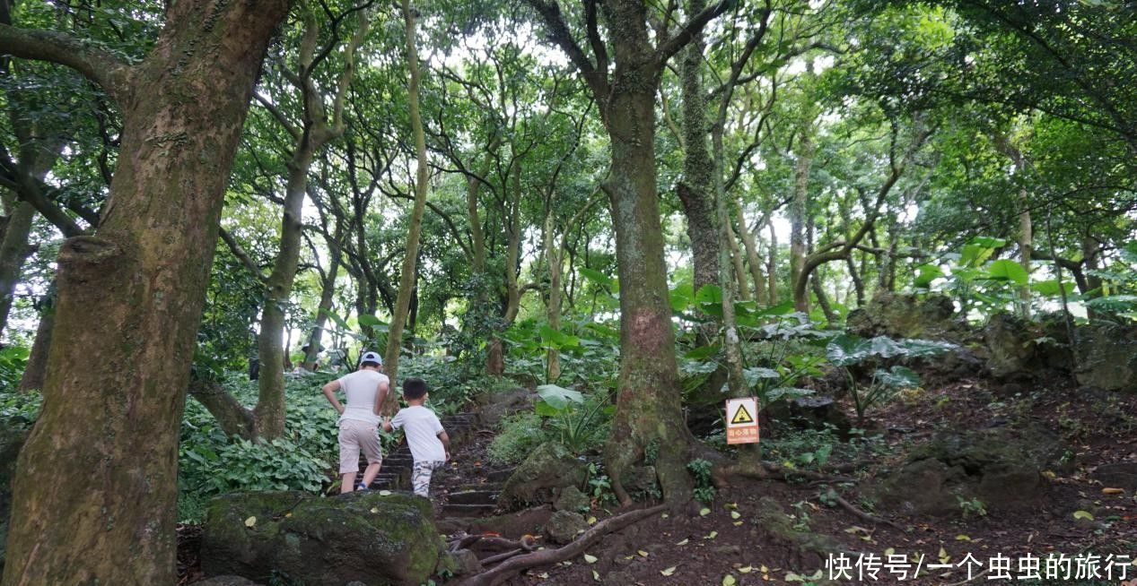 雷琼海口火山群世界地质公园，热带城市火山文化的博览园