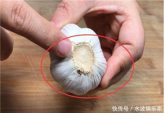 原来大蒜身上有个“小机关”,轻轻一捏,蒜皮就能轻松脱落,实用