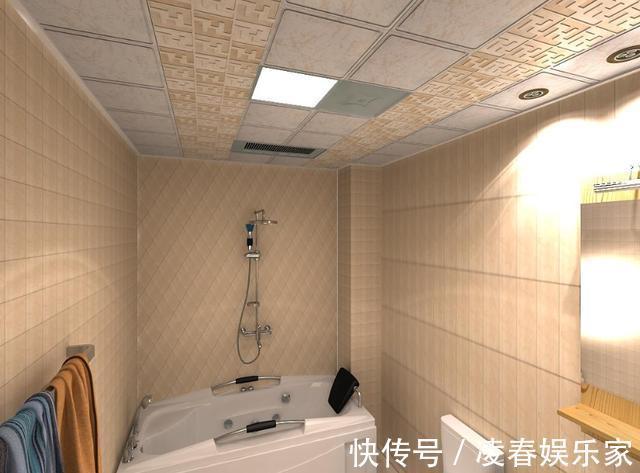 pvc板|新房吊顶材料该如何做老木工帮你这样分析,装修心里就有底了