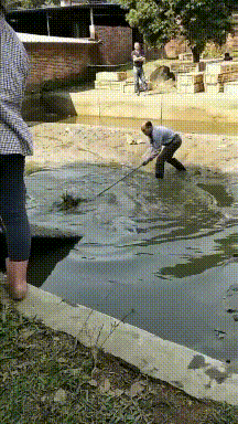 |搞笑GIF:霸气了我的姐 这辈子见过最拉风的走路姿势