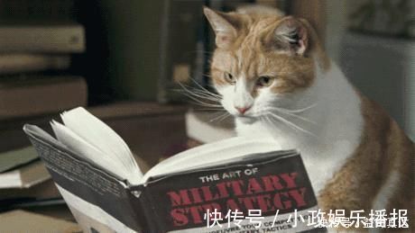 精神分裂症|为什么精神心理疾病到了春天,更容易发作?