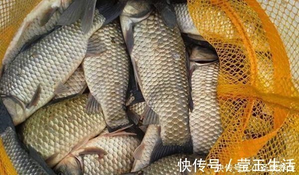 冬季钓鱼,用这种钓法,把饵料递到鱼嘴边,帮你快速“撬开“鱼嘴