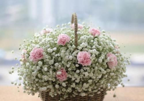 喜欢养花就选5种花,长势猛、爱爆盆,既养护省心又开花漂亮