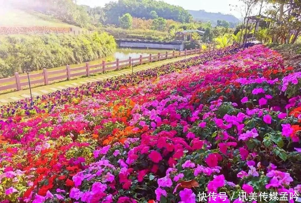 春雨到来，百花盛开！来一场鸟语花香的节后错峰游吧～