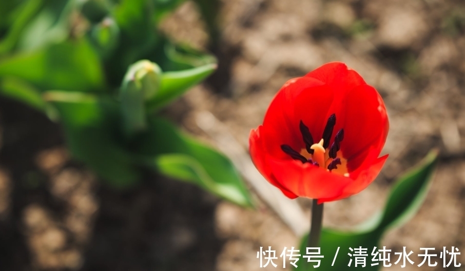 余生|7月,弱水三千,只取一瓢,甜蜜爱恋,3生肖相爱余生,破镜重圆