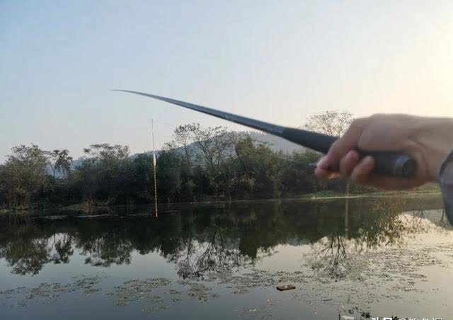 钓鲫鱼却总遇到鲤鱼?春季野钓这样搭配线组,才能大小兼收