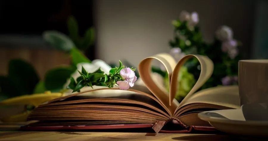 小妹|苏东坡:不读书,你拿什么开玩笑?