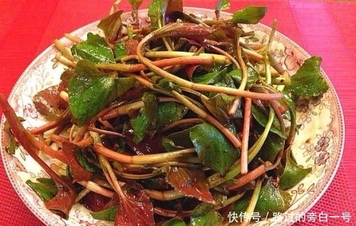 农村|农村常见的6大野菜排名，看看你吃过哪几种！