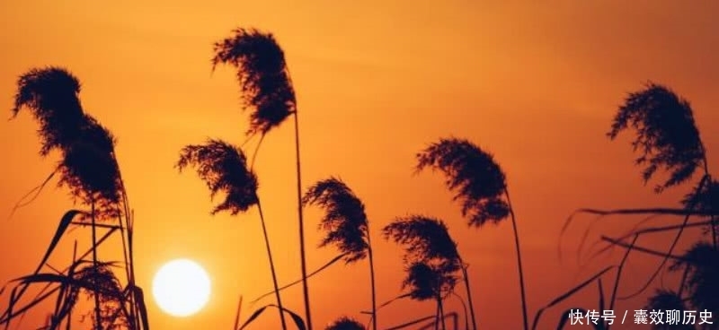 王维|王维这首诗写得生动有趣,把日常生活中的细节,描写得活灵活现!