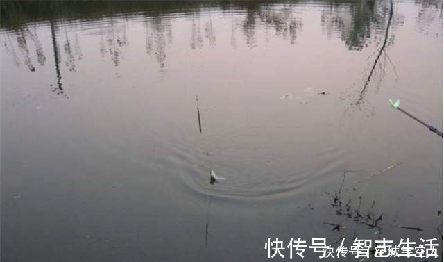 不知道用七星漂还是立漂，看完这篇就知道了